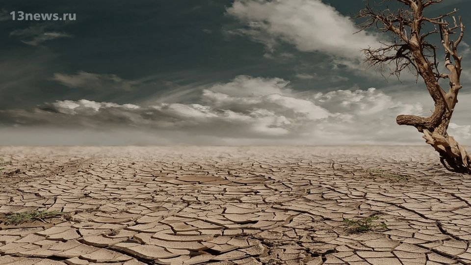 250 тысяч жертв в год из-за глобального потепления: неутешительные прогнозы ученых
