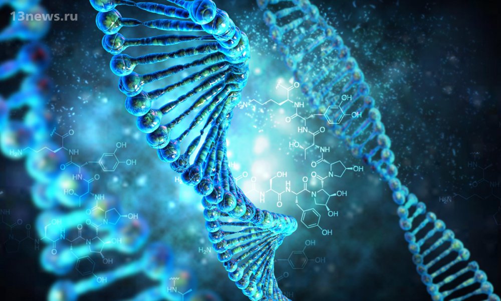 Учёные из Квинсленда нашли подписи естественного отбора в геноме человека