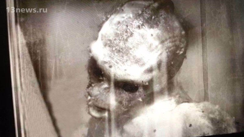 В Сети появились фотографии мумии русалки, сделанные более 150 лет назад