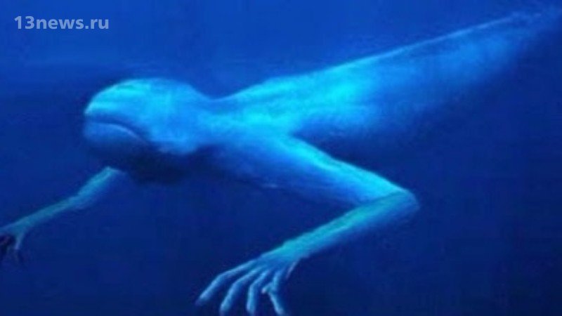 Мистическое существо сняли под водой в Порто-Рико, видео