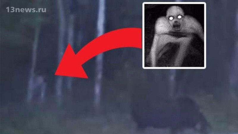 Странное существо попало на видео в Канаде
