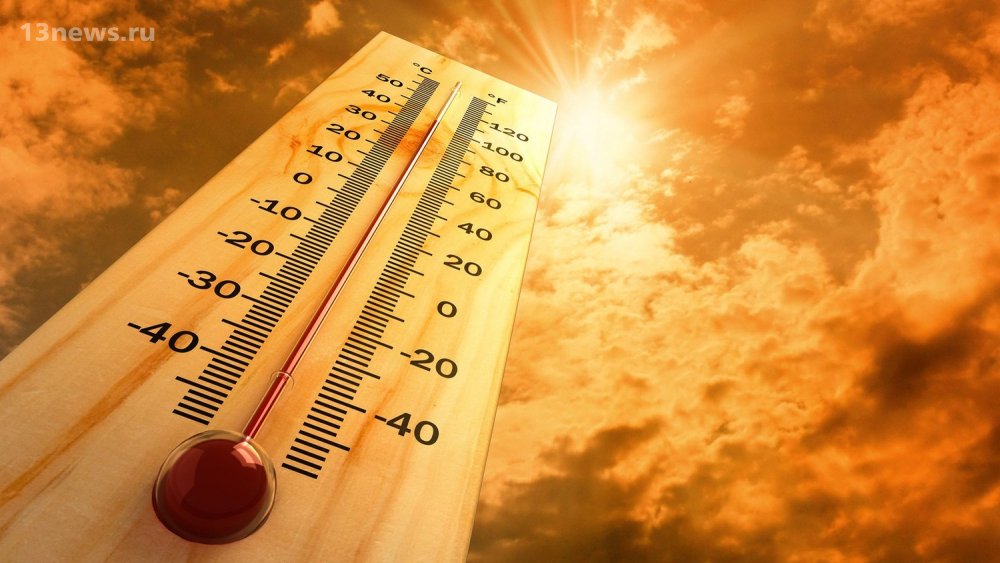Человечество ждёт аномальная жара в ближайшие 5 лет, заявление учёных