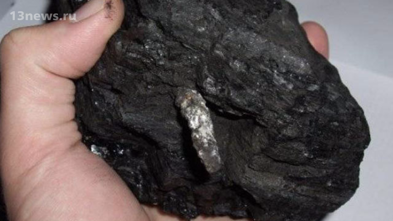 В куске угля нашли артефакт, возрастом более 300 миллионов лет