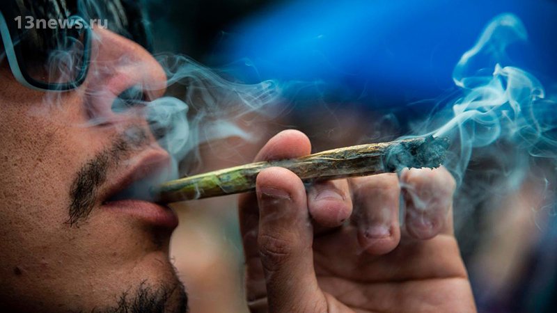 Минздрав хочет легализовать ввоз гашиша и марихуаны для исследований
