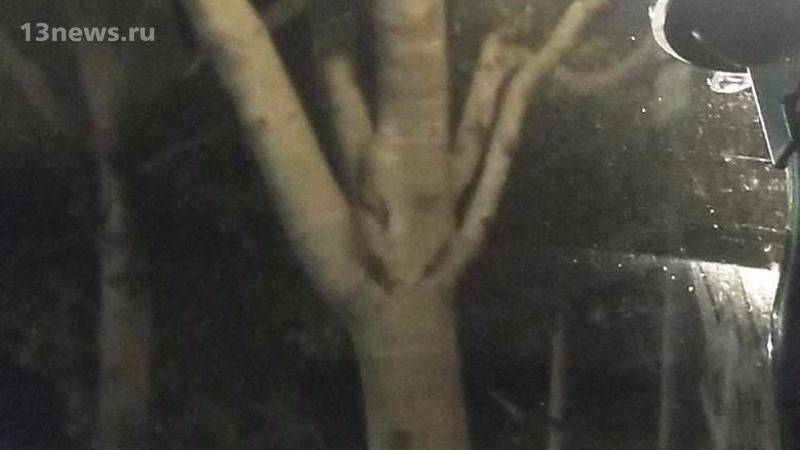 В Канаде сделали фото дерева с "человеческим лицом"