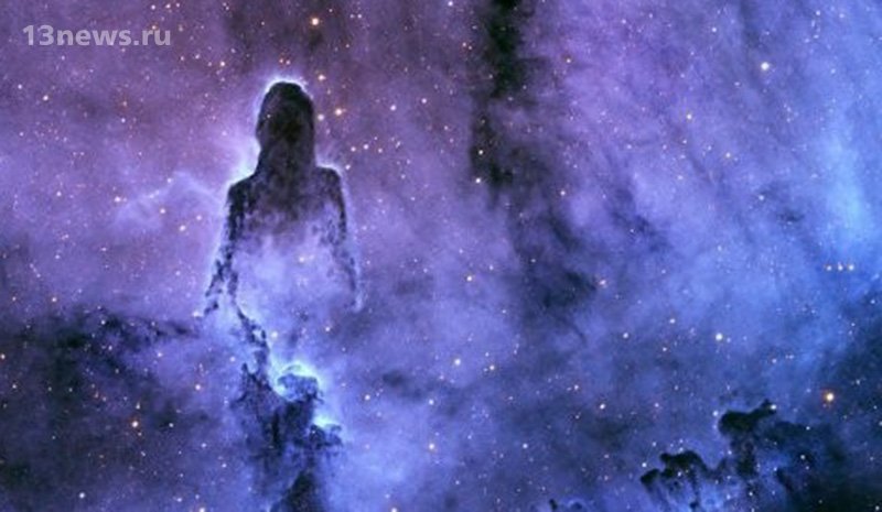 В Сети обсуждают фотографию туманности в виде силуэта во Вселенной