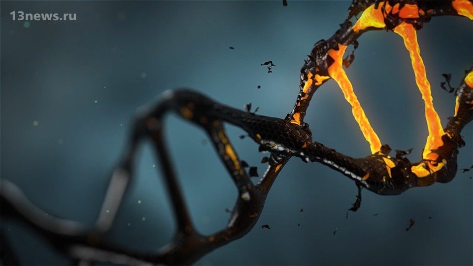 Время остановить эволюцию? Генетик предлагает отредактировать ДНК людей