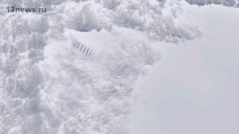 В Антарктиде обнаружили загадочные столбы