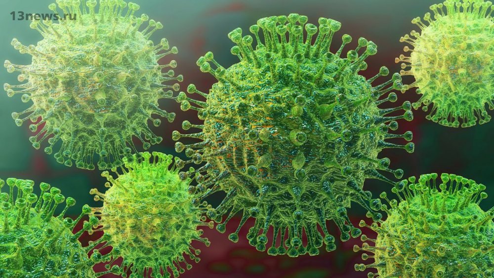 Нигерия подтверждает первый случай заболевания коронавирусом в Африке к югу от Сахары