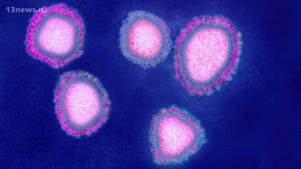 Исследования показывают, что опасный коронавирус в 12 раз более заразен, чем MERS