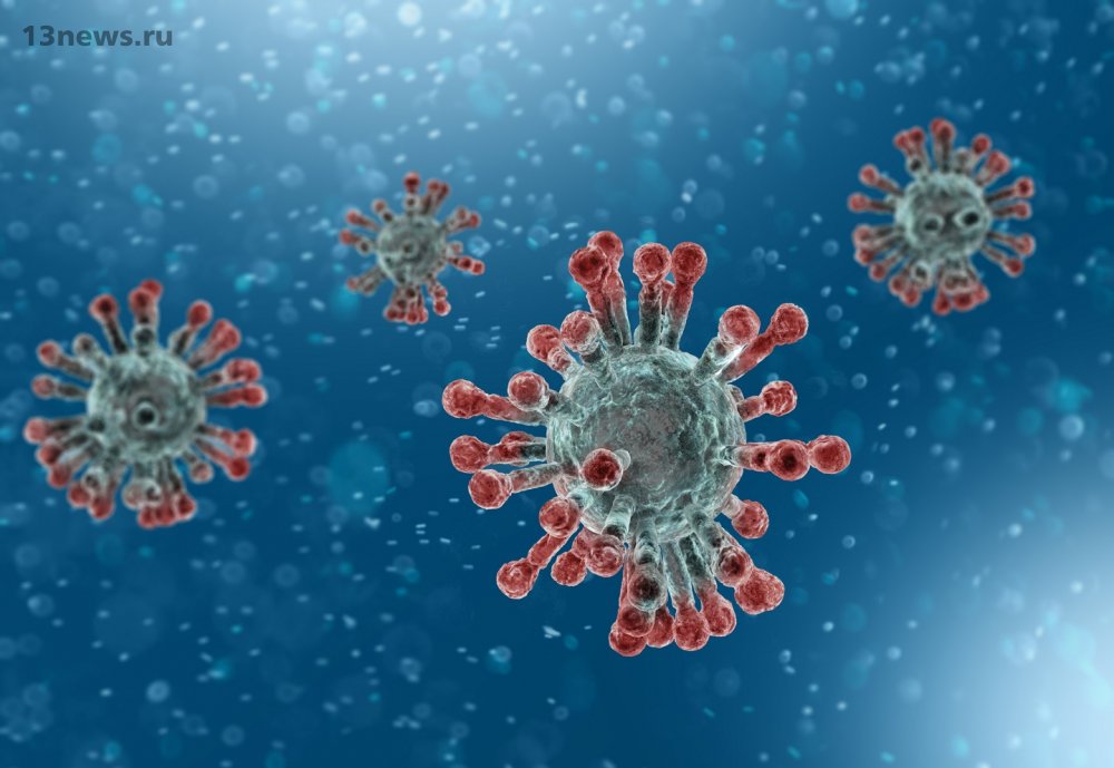 Ученые выяснили, сколько живет коронавирус на ручках дверей и унитазах
