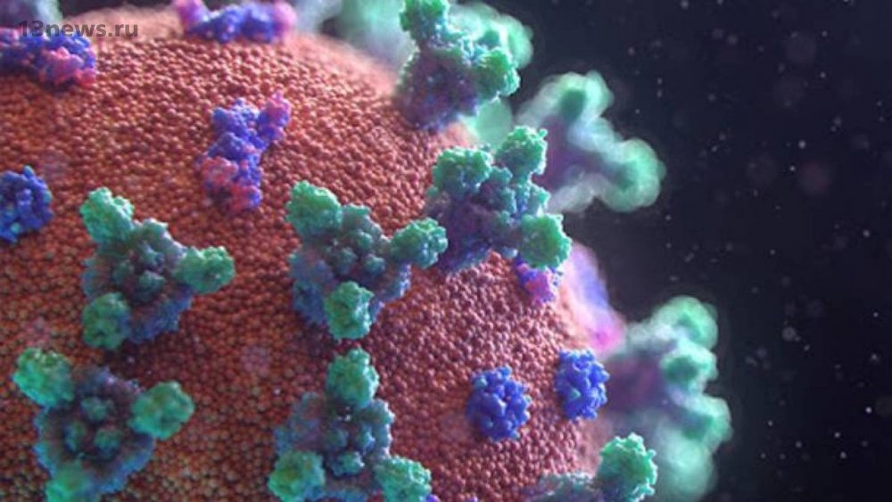 Учёные назвали эффективные меры для предотвращения заражения коронавирусом