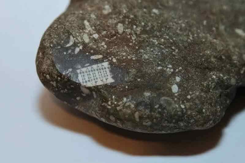 Древний артефакт с микрочипом возрастом в 250 миллионов лет