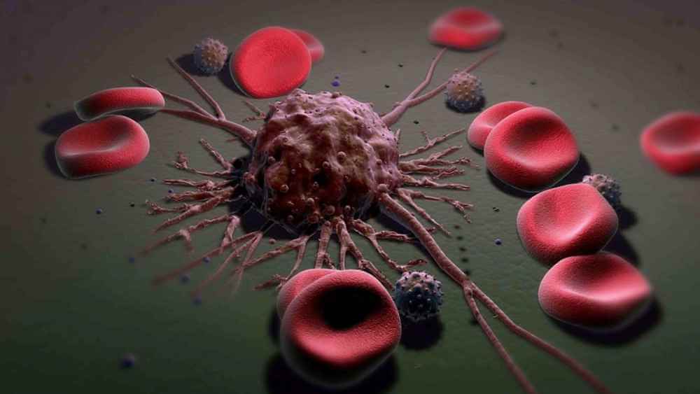 Ученые: раковые клетки могут впадать в спячку, чтобы избежать химиотерапии