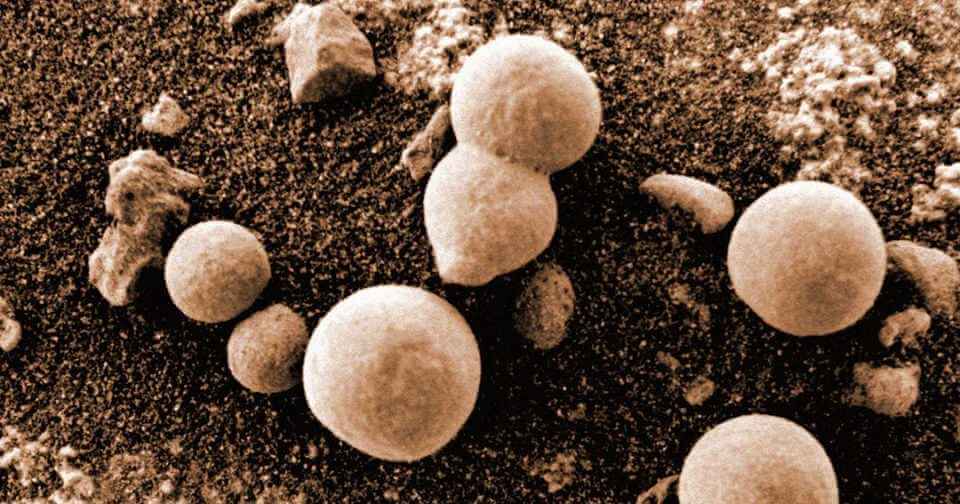 Ученые усчитают, что обнаружили на Марсе растущий грибок