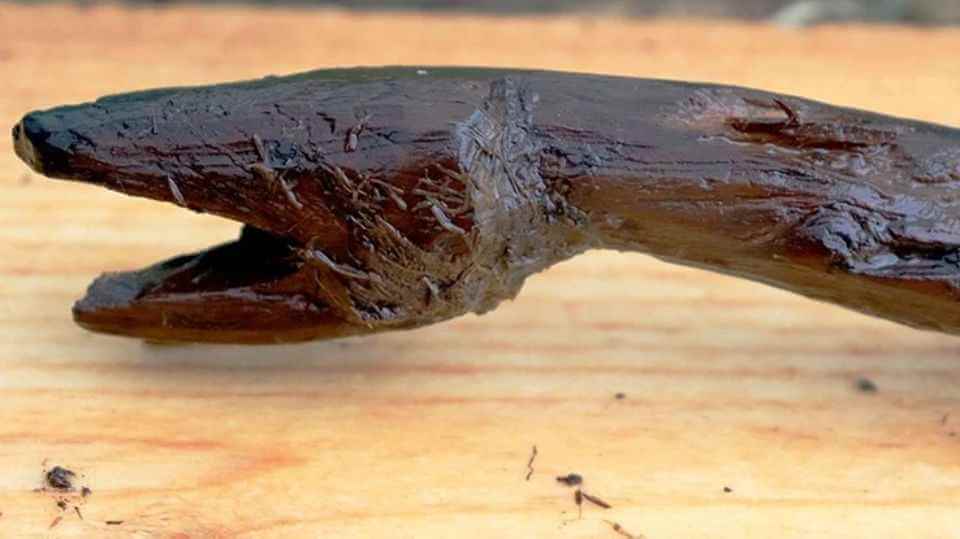 Обнаружен древний шаманский посох в виде змеи