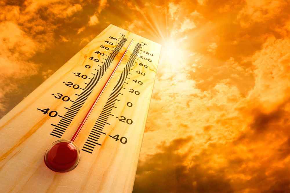 Июль 2021 года признан самым жарким за всю историю наблюдений