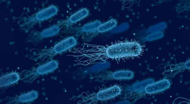 Раскрыт ключевой этап в том, как бактерии приобретают устойчивость к антибиотикам