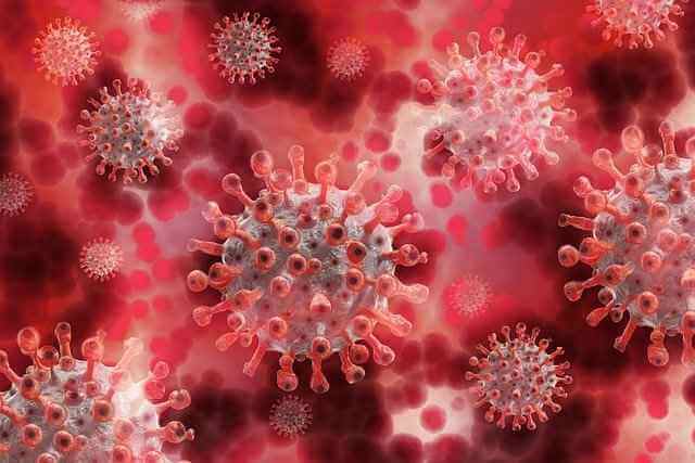 Исследование: воздействие безвредных коронавирусов повышает иммунитет к SARS-CoV-2