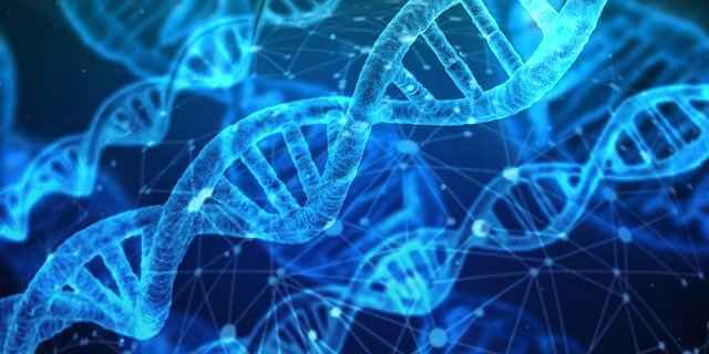 Создана искусственная ДНК, способная развиваться вне клетки