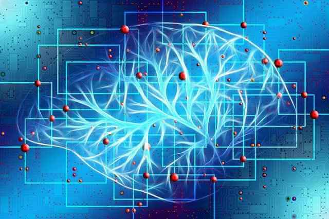 С возрастом в мозге появляются повреждения, влияющие на когнитивные способности человека