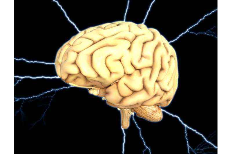 Обнаружена связь между вырабатываемой энергией для работы мозга, мутацией генов и болезнью Альцгеймера.