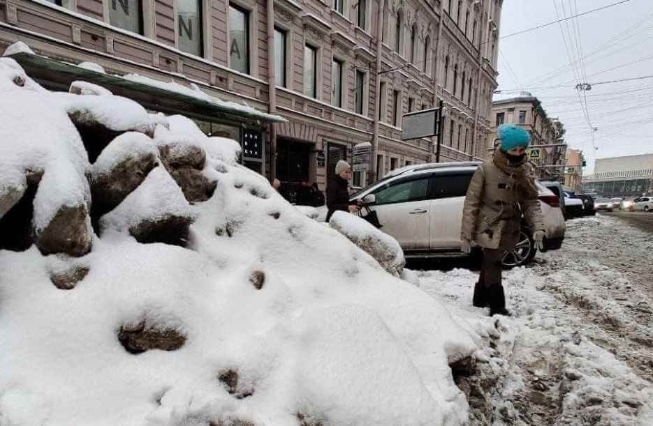 Петербургские знаменитости недовольны уборкой снега в городе