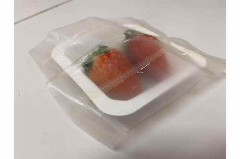 Разработан "умный" материал для упаковки продуктов питания: биоразлагаемый, убивает микробы, продлевает срок хранения