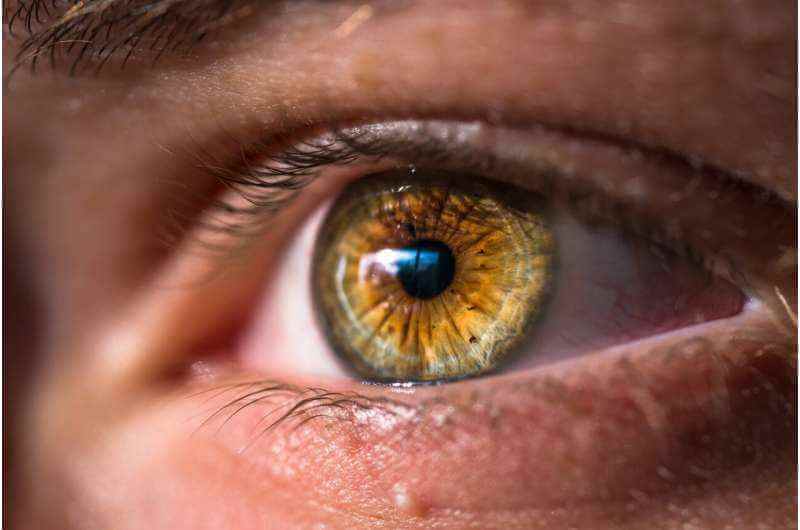Разница между биологическим возрастом сетчатки глаза и реальным возрастом человека связана с повышенным риском смерти