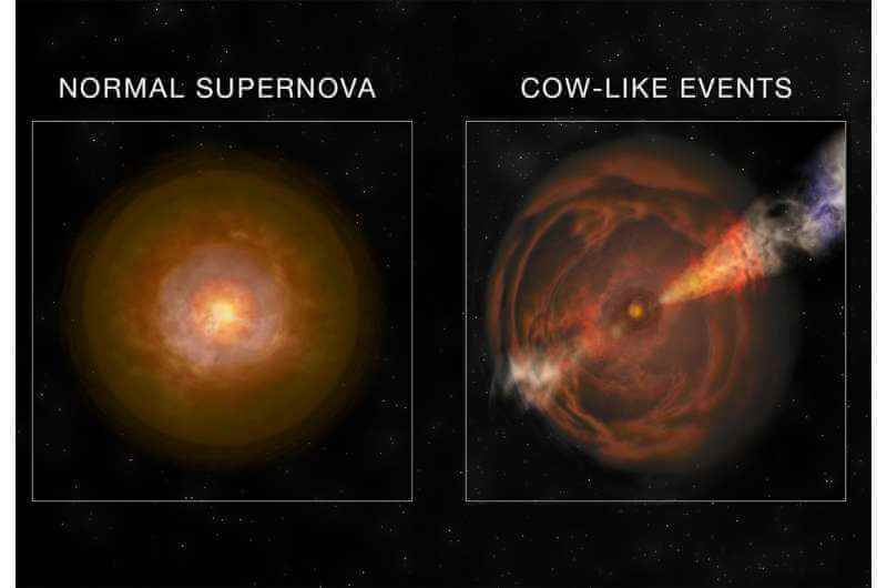 Астрономы обнаружили самый яркий взрыв сверхновой, светящийся в рентгеновских лучах