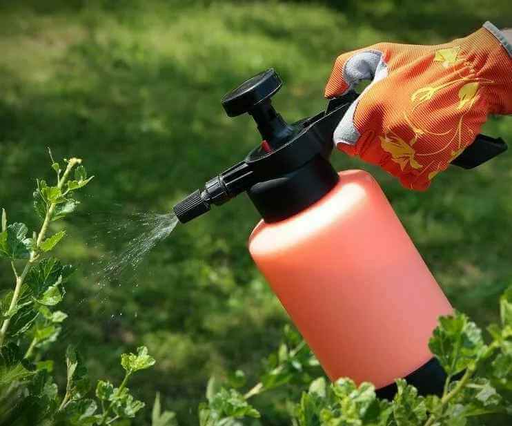 Исследование: использование бытовых пестицидов вредит развитию младенцев