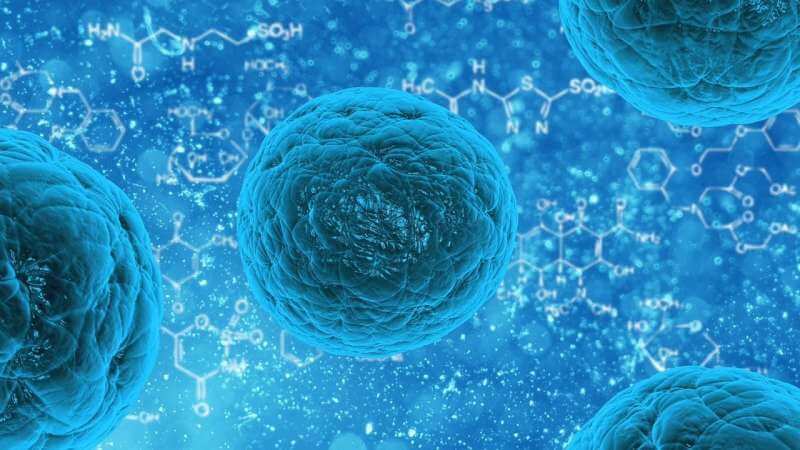 В лечении рака можно использовать иммунные клетки, оставляющие отпечатки на опухолях, метастазирующих в мозг