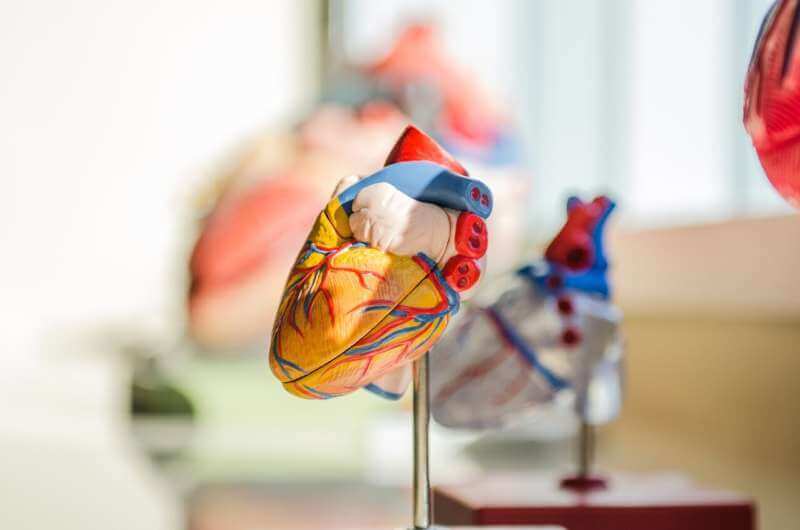 Новый кардиостимулятор обращает вспять сердечную недостаточность