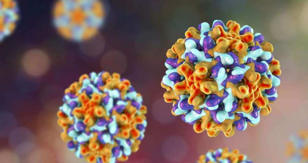 Созданы клеточные линии, способные помочь в лечении гепатита В