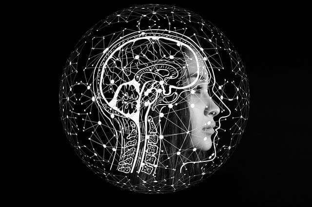 Формирование памяти зависит от того, как развиваются сети мозга в юности