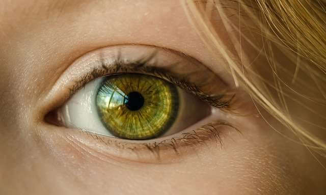 Новый чип позволяет восстановить ограниченное зрение, страдающих макулярной дегенерацией