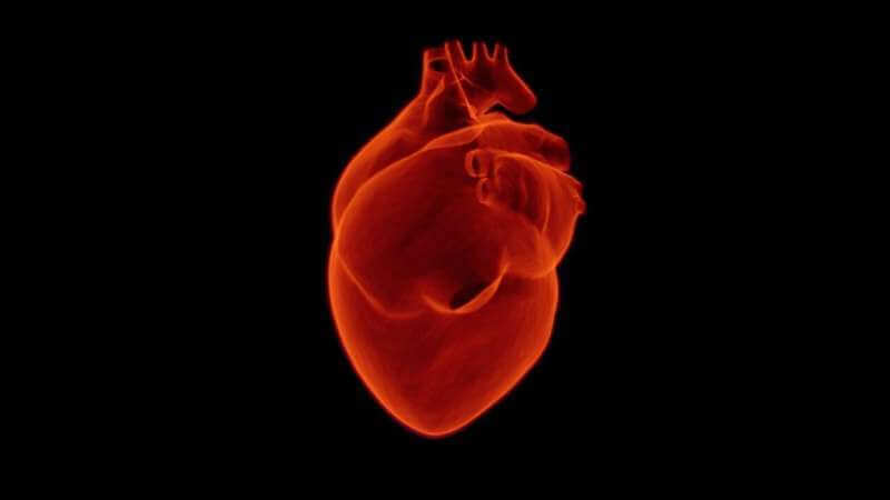 Определены наиболее важные гены, вызывающие ишемическую болезнь сердца и сердечные приступы