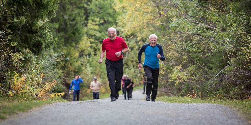 Исследование: пожилые люди в хорошей физической форме имеют более здоровый мозг
