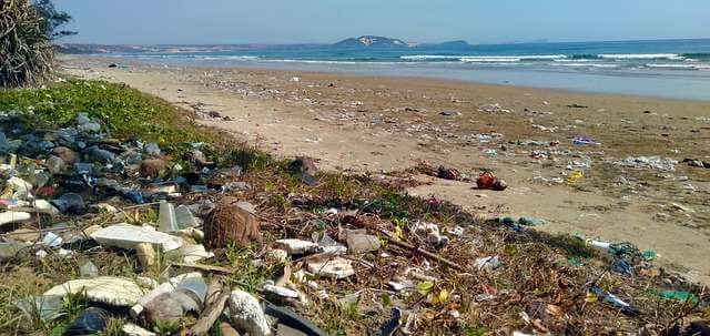 WWF: загрязнение океанов пластиком будет расти в течение десятилетий