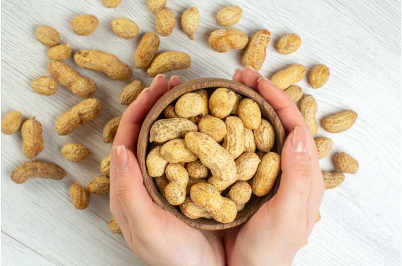 Выявлены два метода лечения аллергии на арахис у детей
