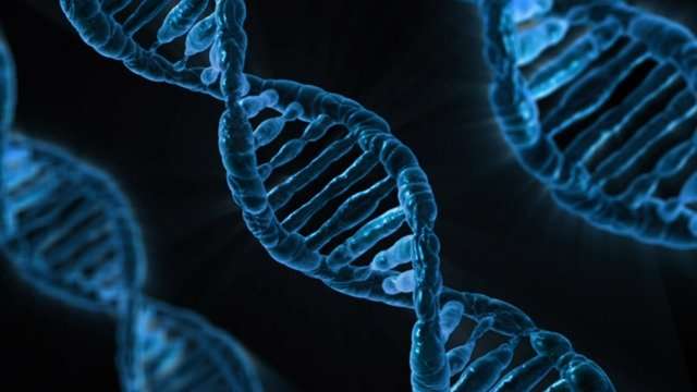 Получены новые данные о геноме человека