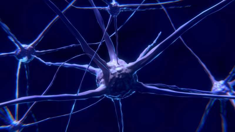 Выявлен токсин двигательных нейронов, связанный с развитием бокового амиотрофического склероза