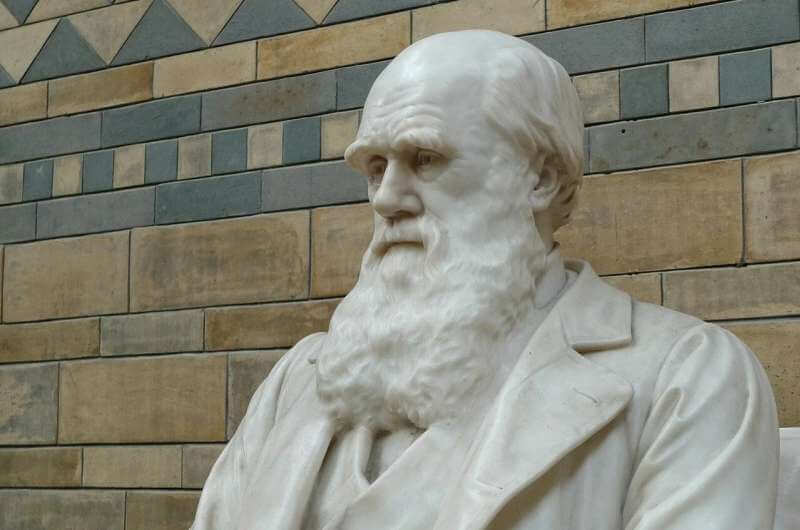 Пропавшие тетради Чарльза Дарвина возвращены в Кембриджский университет