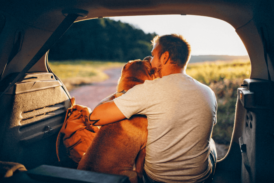 Люди имеют глубокие эмоциональные связи со своими собаками