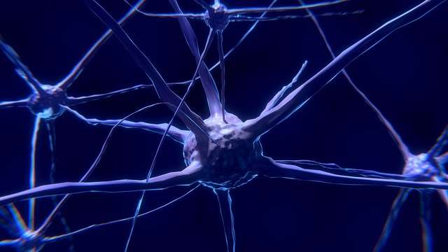 Новая технология предотвращения гибели нейронов в результате инсульта