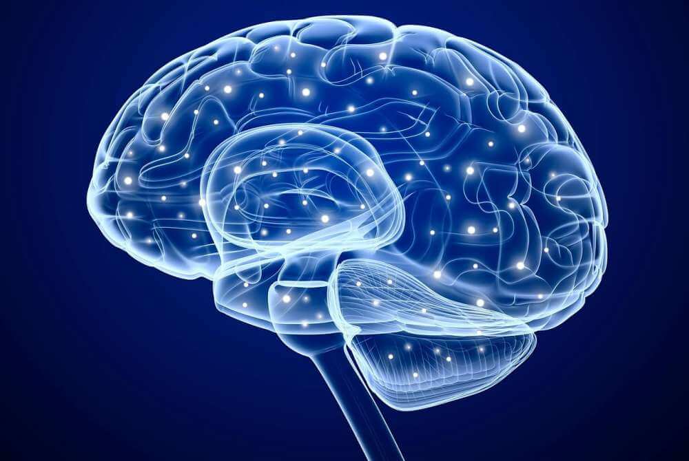 Исследователи обнаружили мозговой путь, который помогает объяснить влияние света на настроение