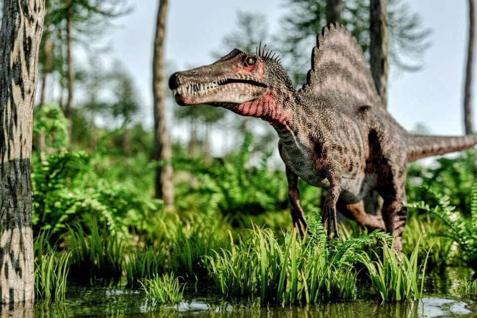 Спинозавры быстро сменили свои зубы