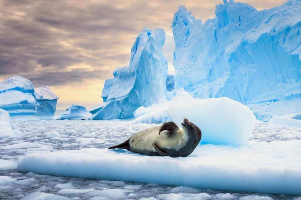 Определена новая причина потери антарктического ледникового покрова
