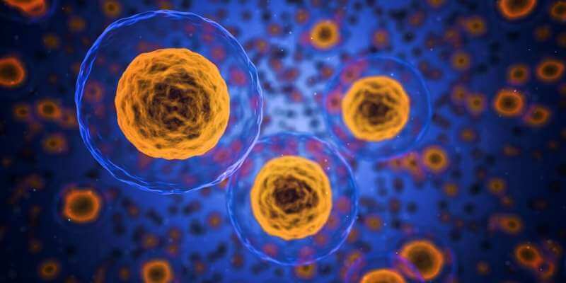 Т-клетки могут помогать раковым клеткам уклоняться от иммунного ответа