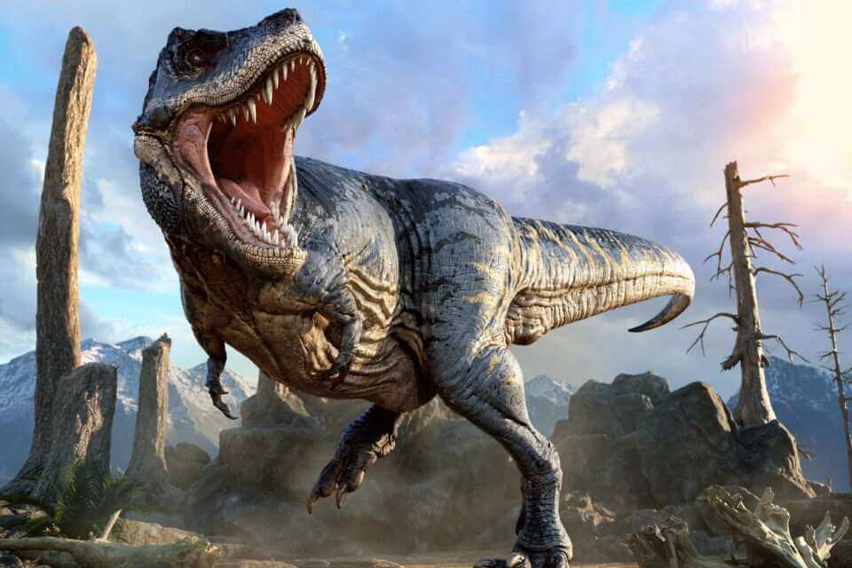 Зубы динозавров раскрывают их пищевые привычки